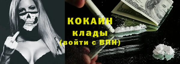 трава Балахна