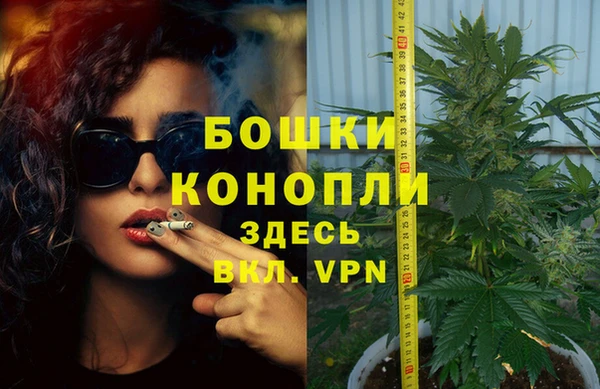 трава Балахна