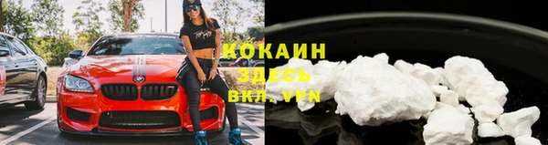 шишки Баксан