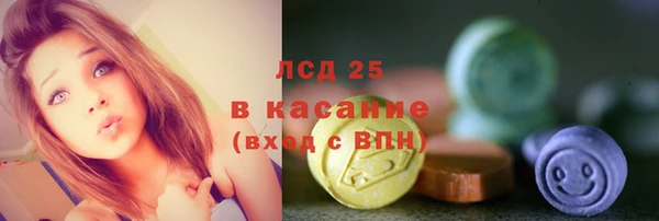 шишки Баксан