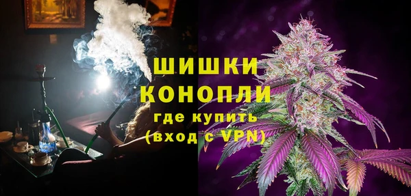 шишки Баксан
