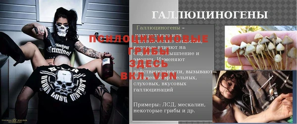 шишки Баксан